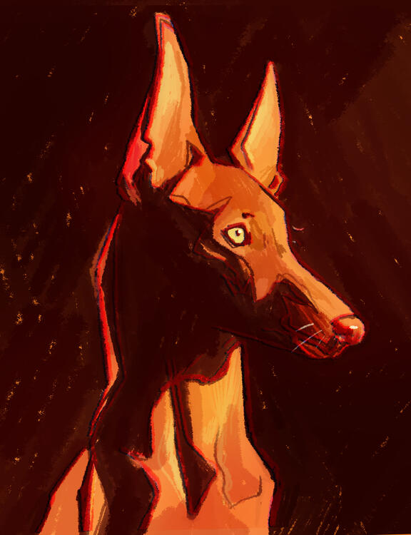 Illustration of a Dog.